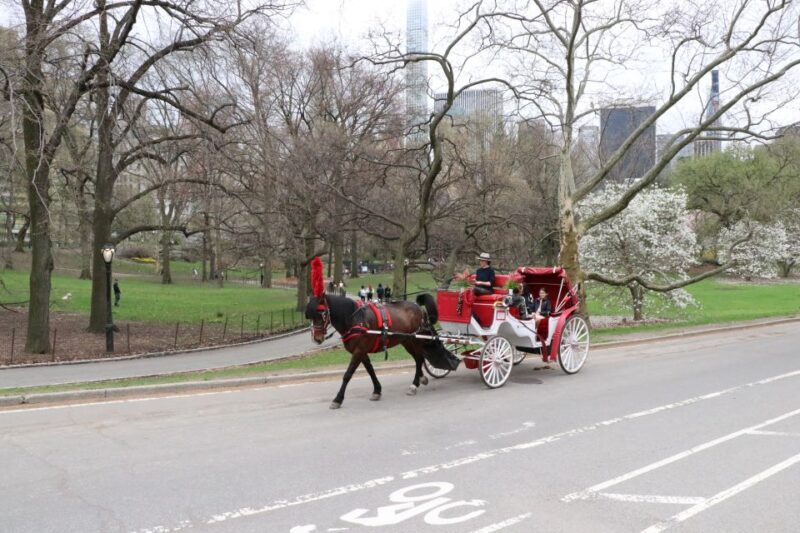 Tavern on the Green PickUp&DropOff With Horse Carriage Ride - Final Thoughts