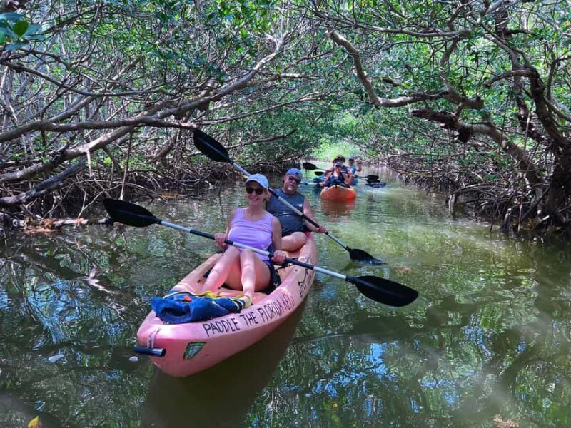 Tavernier, FL: Mangrove and Manatees Guided Kayak Eco Tour - FAQ