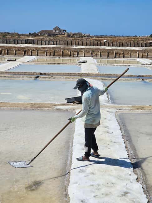 Tavira City & Olive Factory - Exploring Tavira’s Historic Heart and Salt Pans