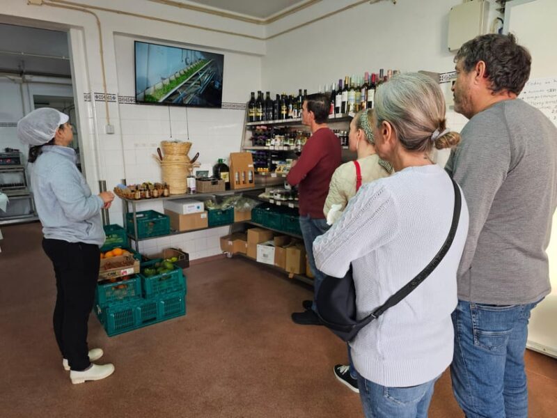 Tavira City & Olive Factory - Practical Details and Value