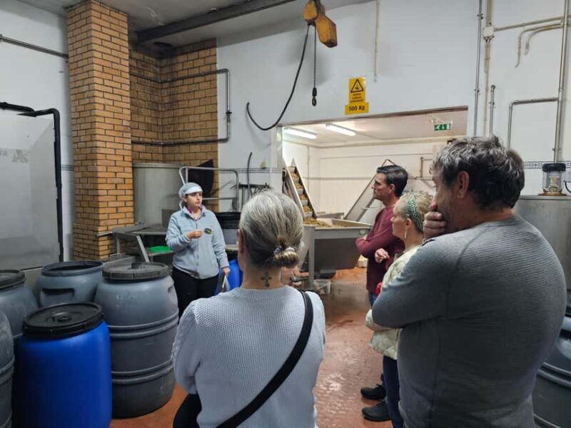 Tavira City & Olive Factory - Final Thoughts