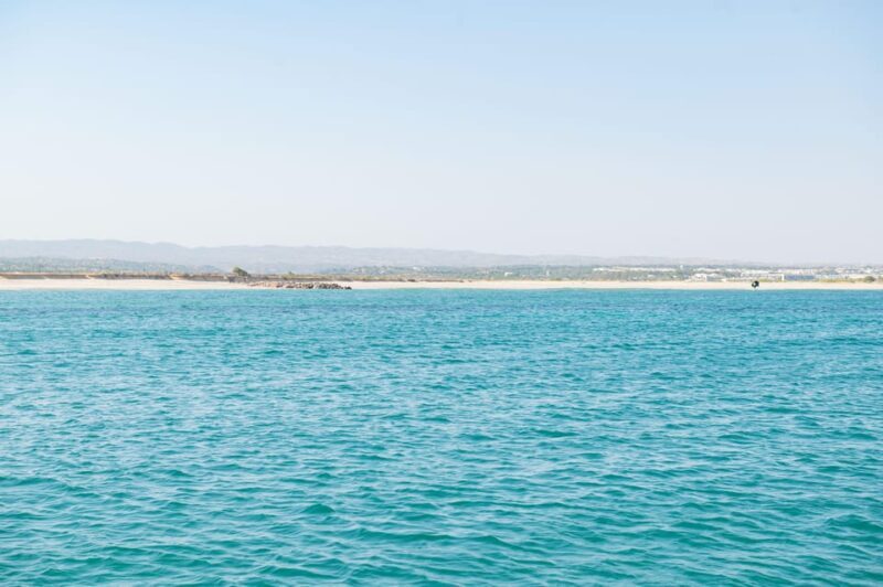 Tavira: Passeio Half Day - Why Choose This Tour? The Value and Unique Appeal