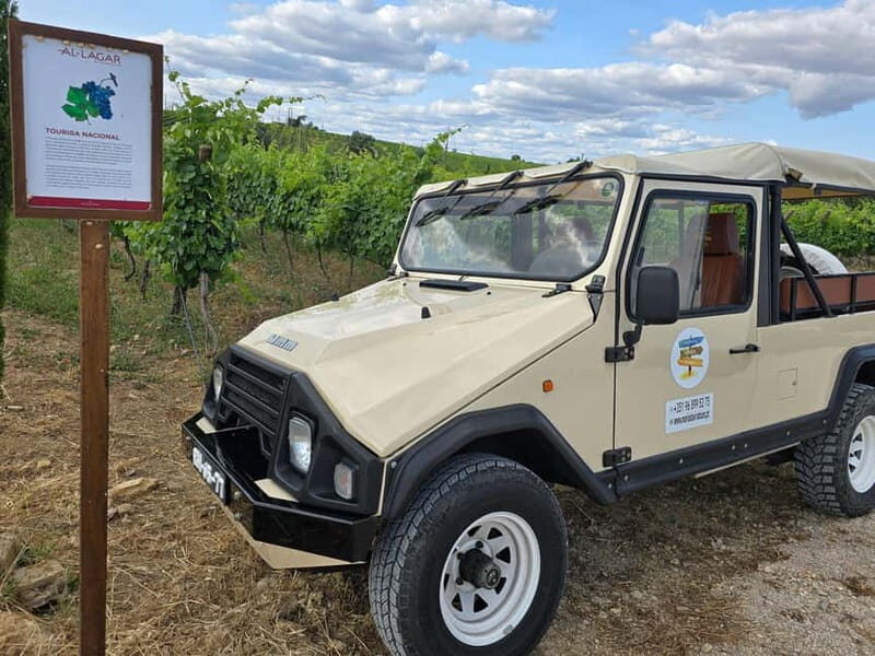 Tavira, Santa Luzia & Wine Tasting - The Sum Up: who is this tour best for?