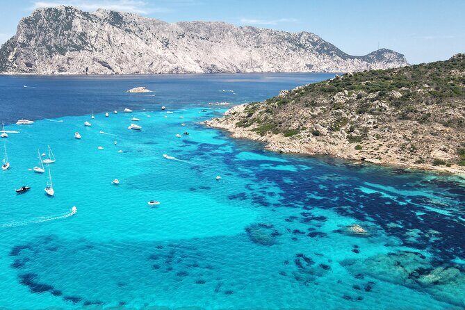 Tavolara excursion - The Details of the Tavolara Excursion