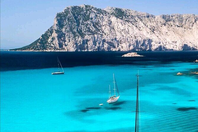 Tavolara Marine Protected Area Tour (GROUP) - Key Points