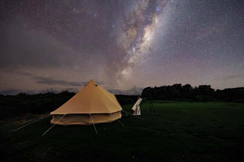 Tawharanui: Kiwi Spotting & Stargazing Tour w/ Optional Stay - Optional Glamping: Sleep Among Kiwis and Birds