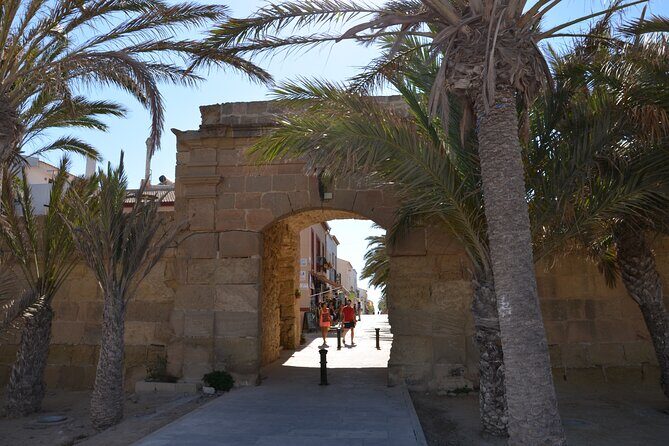 Taxi Boat Santa Pola to Tabarca Island - The Experience in Detail
