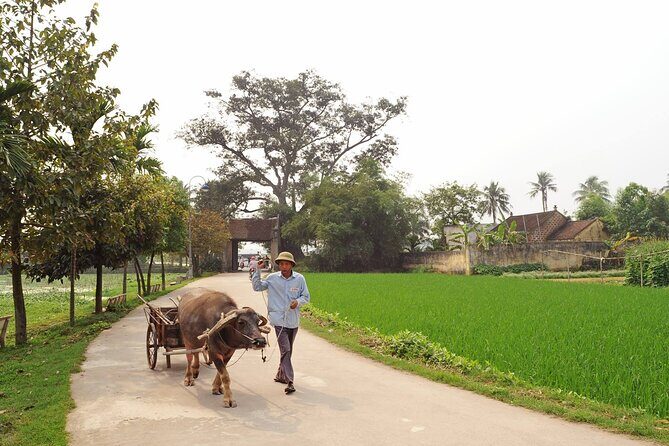 Tay phuong pagoda and Duong Lam ancient village with biking - Key Points