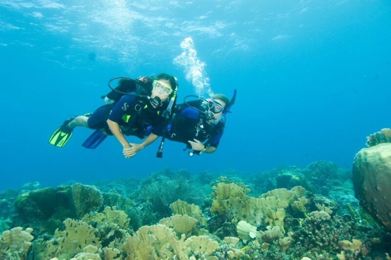 Tayrona National Park: Scuba Diving Tour for Beginners - Key Points