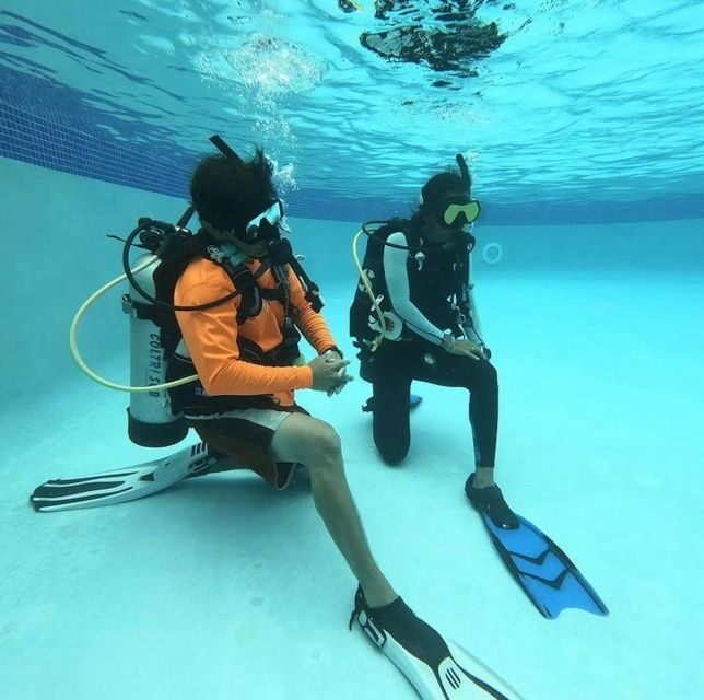 Tayrona National Park: Scuba Diving Tour for Beginners - Final Thoughts: Is It Worth It?