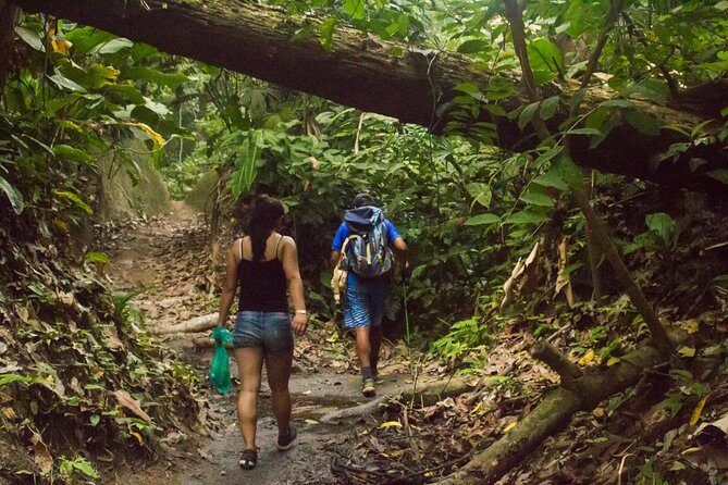 Tayrona National Park - Trek to Cabo San Juan - The Sum Up: Who Should Consider This Tour?
