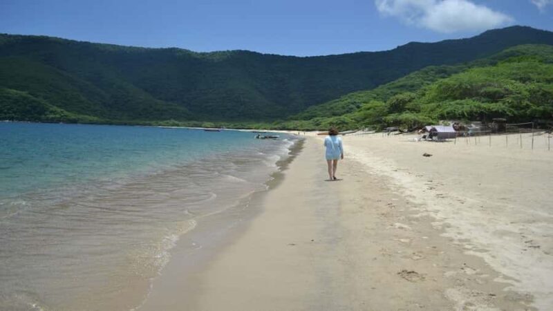 Tayrona Park: Group Tour To Concha Bay - An In-Depth Look at the Tayrona Park: Concha Bay Tour