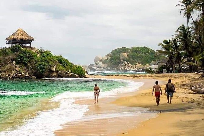 Tayrona Park Hike Tour to Cabo San Juan: Private or Shared - Exploring Tayrona Park: A Deep Dive into the Experience