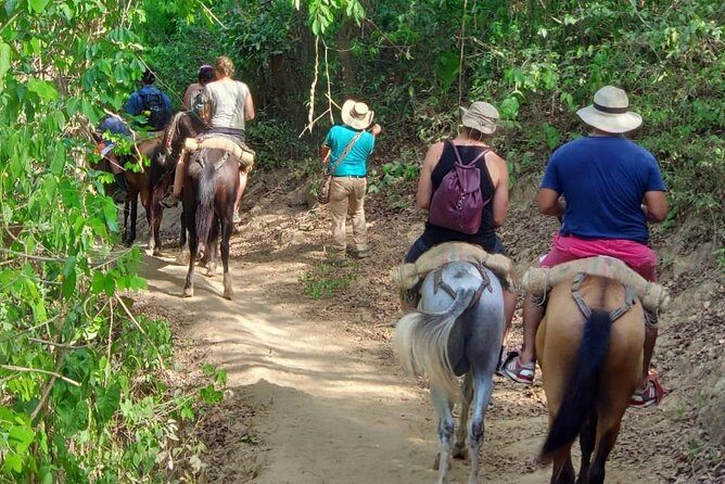Tayrona Park - Pueblito Tayku + Cabo San Juan - A Deep Dive into the Experience