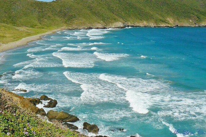 Tayrona Playa Cristal 7 Waves Neguanje Park Tour - Who Should Consider This Tour?