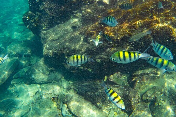 Tayrona, Snorkel & Beach - Exploring the Tayrona, Snorkel & Beach Tour: A Detailed Review