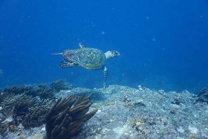Tayrona, Snorkel & Beach - A Closer Look at the Tour Itinerary