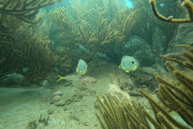 Tayrona, Snorkel & Beach - FAQ about the Tayrona Snorkel & Beach Tour