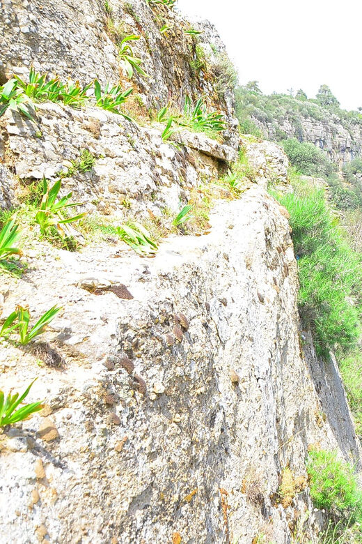 Taz Canyon, Avatar Lands and Selge Ancient City Tour - An Authentic Day in Antalya: Exploring Taz Canyon, Selge, and Adam Kayalar