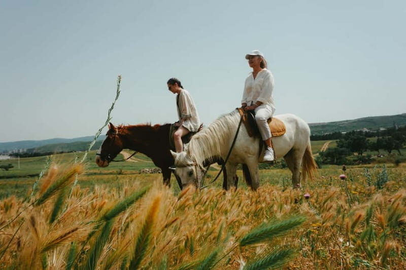 Tbilisi: Horseback Riding Experience - An In-Depth Look at the Horseback Riding Experience Near Tbilisi