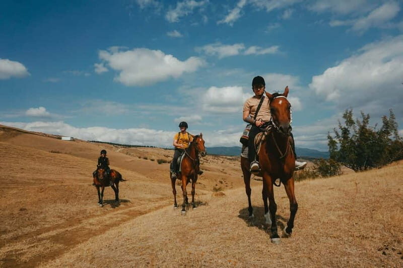Tbilisi: Horseback Riding Experience - Frequently Asked Questions