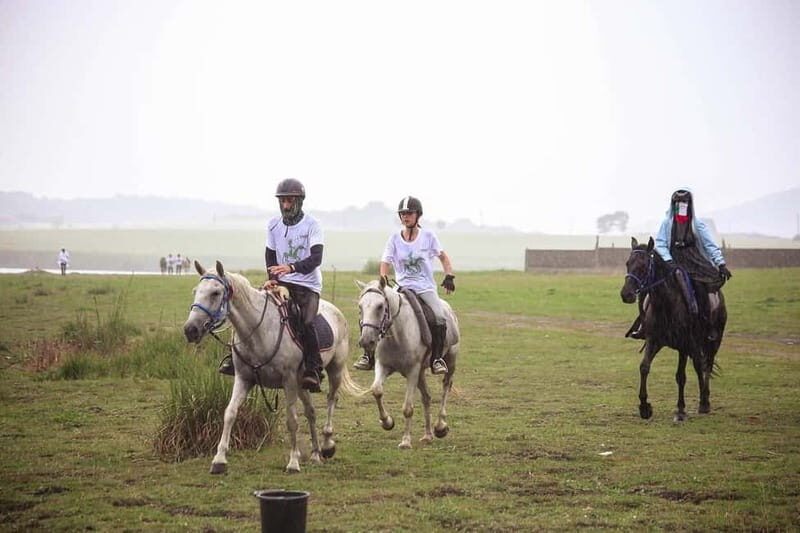 Tbilisi: Kakheti Horse Riding, Wine Tasting, and Cooking - Exploring the Route: A Day of Scenic Beauty and Cultural Richness