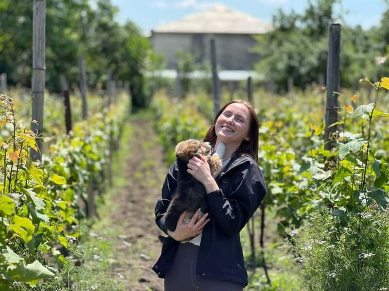 Tbilisi: Kakheti Private Wine Tour with Family Lunch - The Heart of the Experience: Family Lunch and Sighnaghi