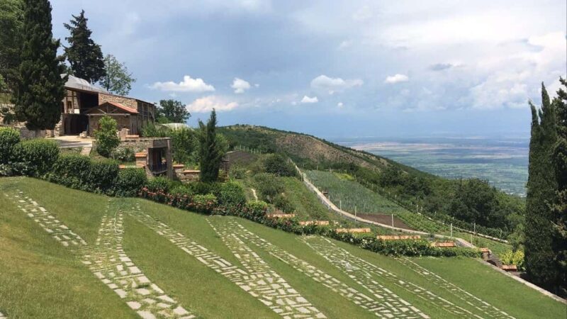 Tbilisi :Magical Kakheti Sighnaghi Bodbe Chronicles WineTour - Hands-On Experiences and Masterclasses
