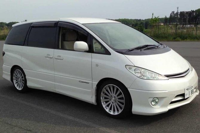 Tbilisi Private Arrival Airport Transfer - Key Points