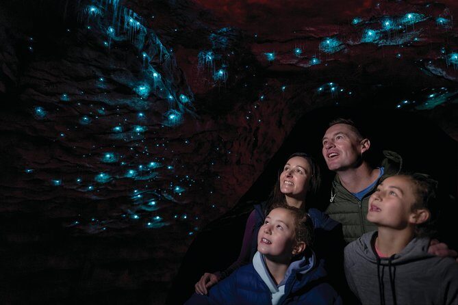 Te Anau Glow Worm Caves Tour - An In-Depth Look at the Tour Experience