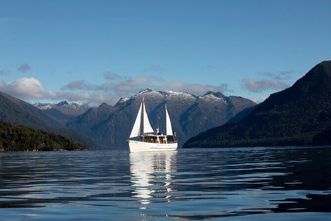Te Anau Glow Worm Caves Tour - The Glowworm Phenomenon: What Makes It Special?