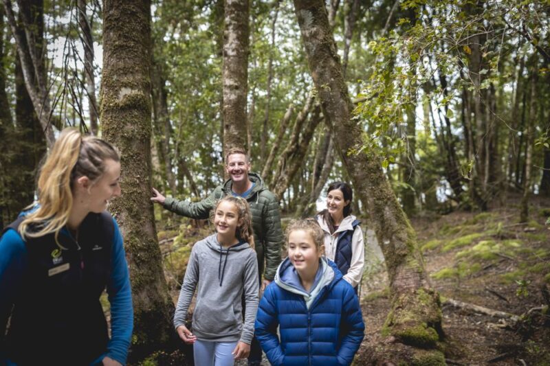 Te Anau: Glowworm Caves Guided Tour - The Experience: Authentic and Well-Organized
