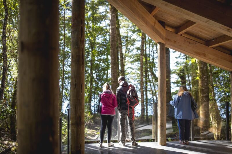 Te Anau: Glowworm Caves Guided Tour - The Sum Up: A Hidden Gem of South Island