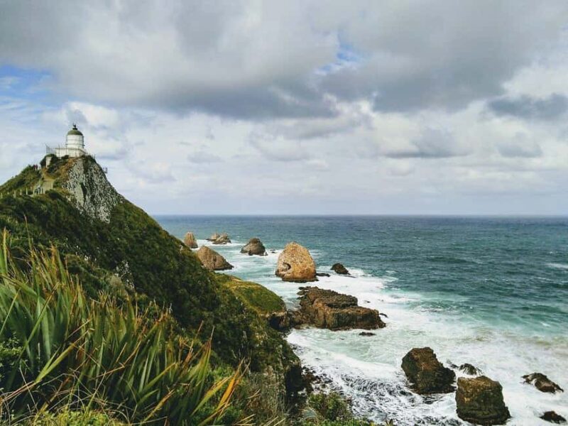 Te Anau to Dunedin via the Catlins & Invercargill 1 Way Tour - FAQs