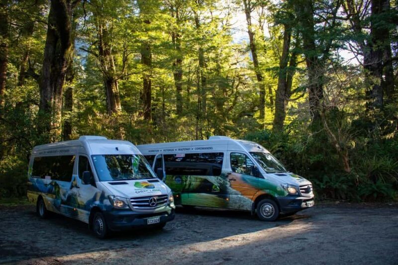Te Anau to Queenstown inc Milford Sound Tour, Cruise & Lunch - The Value of This Experience
