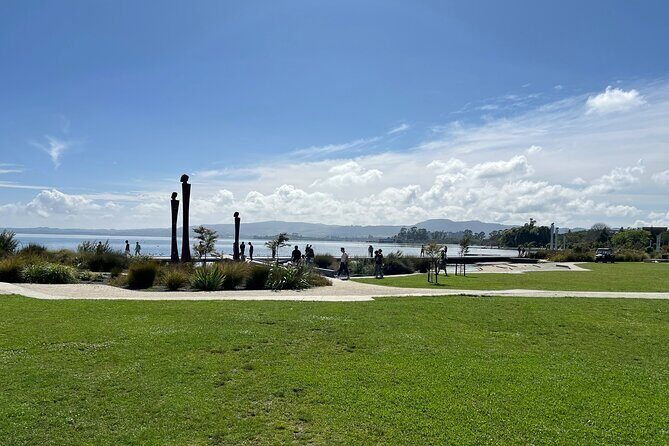 Te Puia And Redwood Park Day Trip Transport From Auckland - Authentic Experiences & Real Feedback