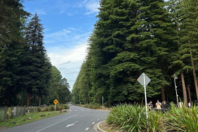 Te Puia And Redwood Park Day Trip Transport From Auckland - FAQs