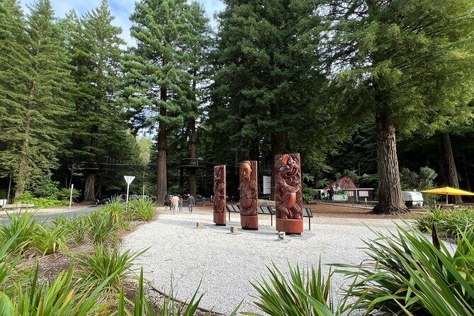Te Puia And Redwood Park Day Trip Transport From Auckland - Final Thoughts: Is This the Right Tour for You?
