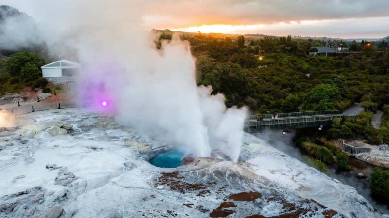 Te Puia: Te P Evening Hng Buffet and Cultural Experience - An In-Depth Look at the Te Puia Evening Experience