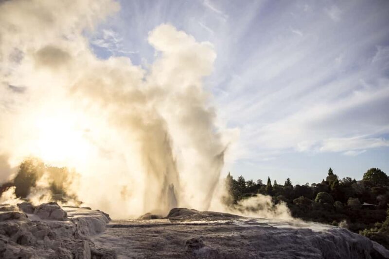 Te Puia: Te R Guided Day Tour - Experience the Heart of Rotorua with the Te Puia: Te R Guided Day Tour