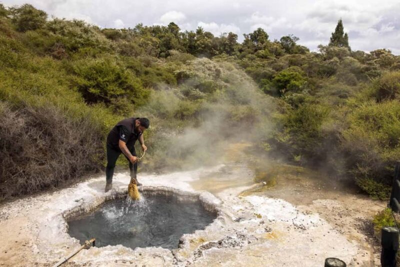 Te Puia: Tuku Iho Trail with Cultural Show - Frequently Asked Questions