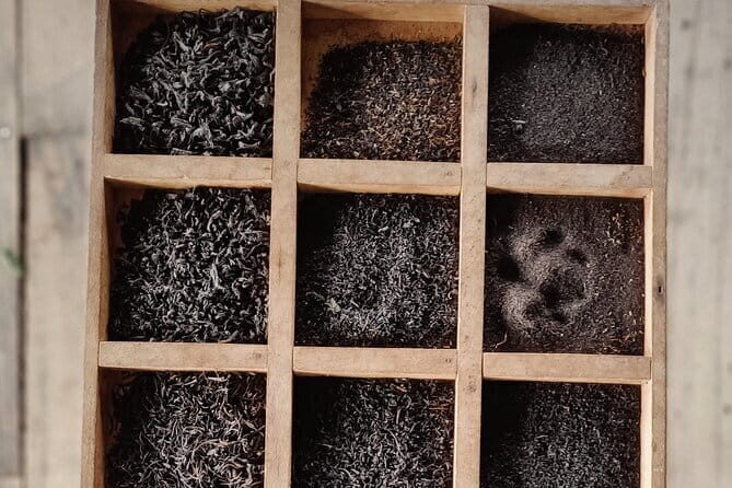 Tea Adventure- Haputale, Tea Plantation Tour with Lunch - The Factory Tour and Its Significance