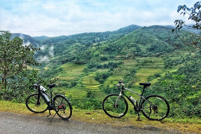 Tea Fields by Bicycle from Kandy - Key Points