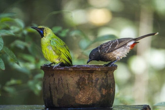 Tea Loops E-Biking - FAQ