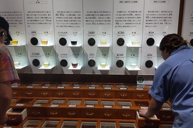 Tea Museum Shizuoka and Horaibashi Bridge Guided Tour-Van - Who Will Appreciate This Tour?