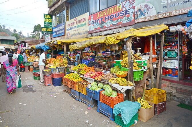 Tea plantation walk with Visit of Historical ,village & Market - Broader Context: What Makes This Tour Special?