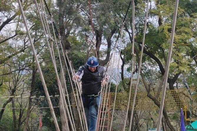 Tea Top Adventure Activities - Key Points