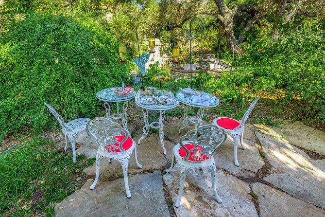 Tea with hummingbirds at a Hummingbird Sanctuary - A Detailed Look at the Hummingbird Sanctuary Experience