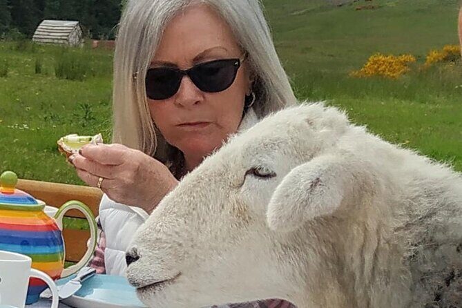 Tea with Naughty Sheep - FAQ
