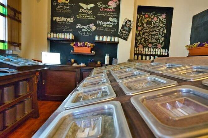 Tea Workshop - Experience Overview: A Refreshing Take on Guatemala’s Tea Culture